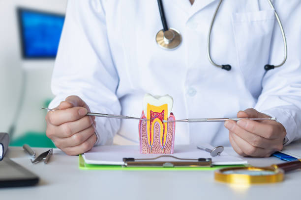 Best Emergency Gum Pain Relief  in Oak Hills, PA